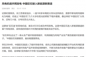 时报：风电机组并网发电 中国利来w66驶入新能源新赛道